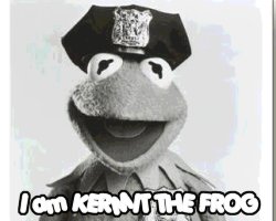 Which Muppet Are You??